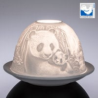 Dome-Light Panda