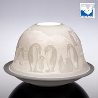 Dome-Light Pingvin